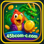 45b com